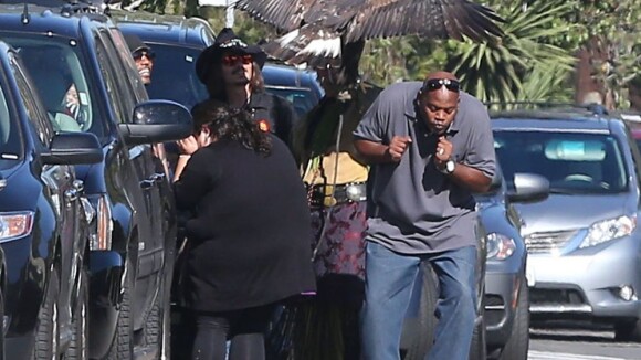Johnny Depp se rend à l'école de ses enfants avec un aigle très imposant !
