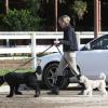 EXCLU : Portia de Rossi, accompagnée de ses chiens, se rend dans un centre équestre à Los Angeles, le 4 décembre 2012.