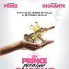 Affiche du film Un prince (presque) charmant