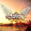 Les Anges de la télé-réalité 5.