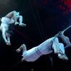 Le 37e Festival international du Cirque de Monte-Carlo le 19 janvier 2013