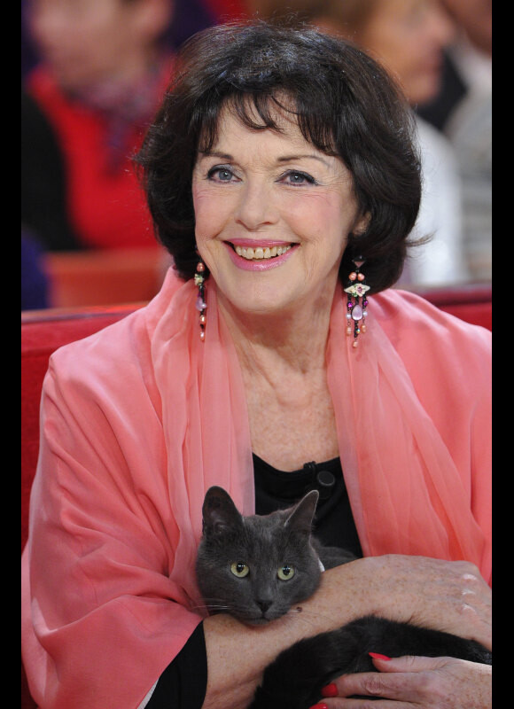 Anny Duperey et son chat à l'enregistrement de l'émission Vivement Dimanche, speciale autour des animaux, à Paris, diffusée le 23 décembre 2012.