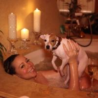 Mariah Carey : Balade en calèche et baisers avec Nick, bain... avec son chien