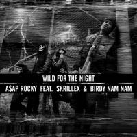 A$AP Rocky : Stylé et déchaîné dans le clip de Wild For The Night