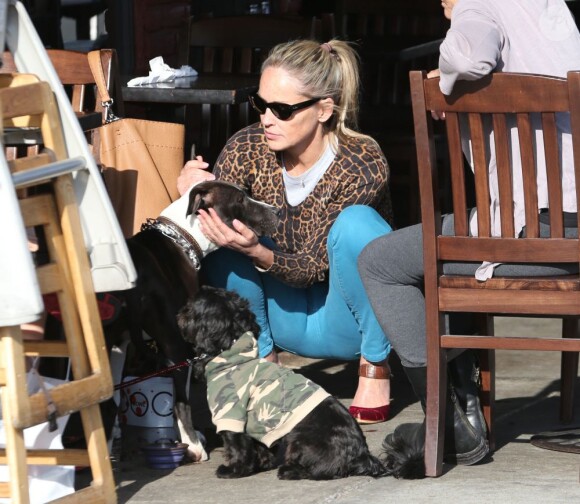 Sharon Stone et ses chiens au King's Road Cafe de Los Angeles le 12 avril 2013.