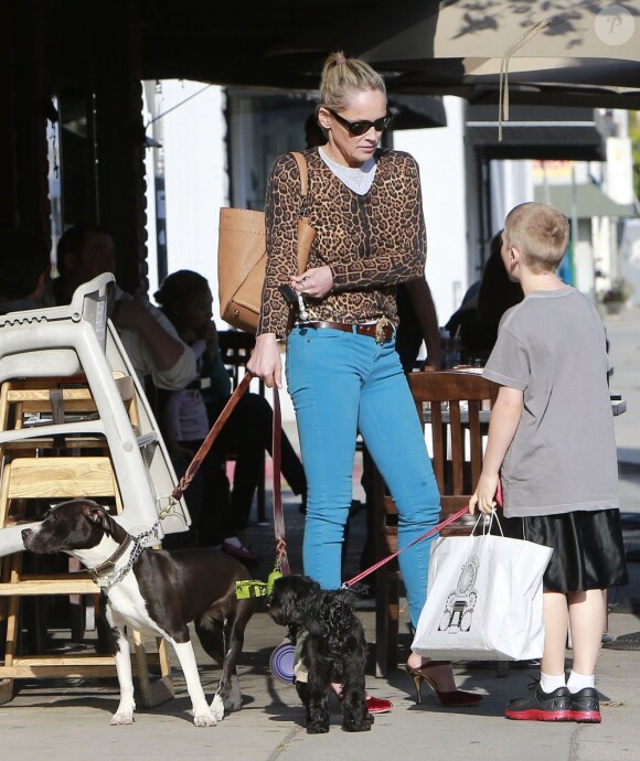Sharon Stone et son fils Quinn se baladent avec leurs chiens à West Hollywood, Los Angeles, le 12 avril 2013.
