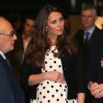  Kate Middleton, le prince William et le prince Harry inauguraient le 26 avril 2013 les studios de la Warner Bros dans le Hertfordshire. William et Harry étaient comme des gamins avec la panoplie de Batman The Dark Knight et de Harry Potter ! 