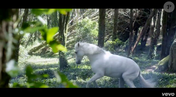 Image extraite du clip "À nous" de la comédie musicale "Robin des Bois", juin 2013.