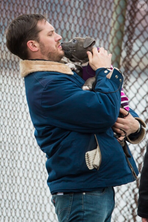 Tom Hardy pendant le tournage d'Animal Rescue à Brooklyn, New York, le 11 mars 2013.