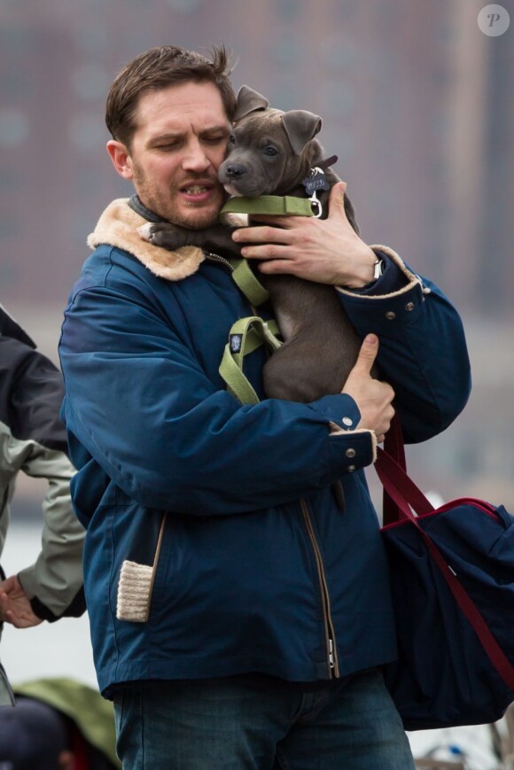 Tom Hardy et le petit pitbull sur le tournage d'Animal Rescue à Brooklyn, New York, le 11 mars 2013.