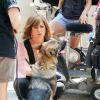 Jennifer Aniston sur le tournage du film "Squirrels to the Nuts" à New York le 17 juillet 2013.