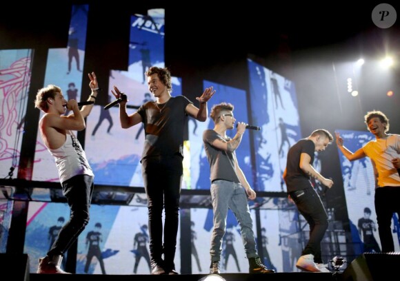One Direction en concert au Verizon Center de Washington, le 23 juin 2013.