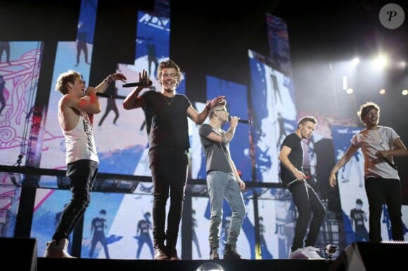 One Direction en concert au Verizon Center de Washington, le 23 juin 2013.