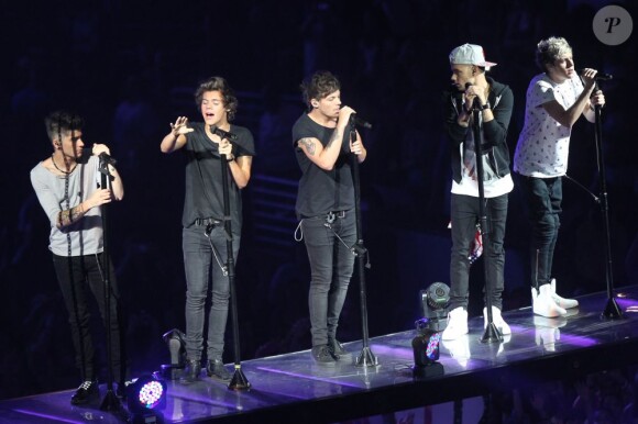 One Direction en concert au Verizon Center de Washington, le 23 juin 2013.