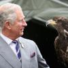 Le prince Charles s'est offert un tête à tête avec l'aigle Zephyr lors du 132e Sandringham Flower Show, le 31 juillet 2013.