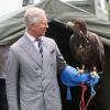 Le prince Charles s'est offert un tête à tête avec l'aigle Zephyr lors du 132e Sandringham Flower Show, le 31 juillet 2013.