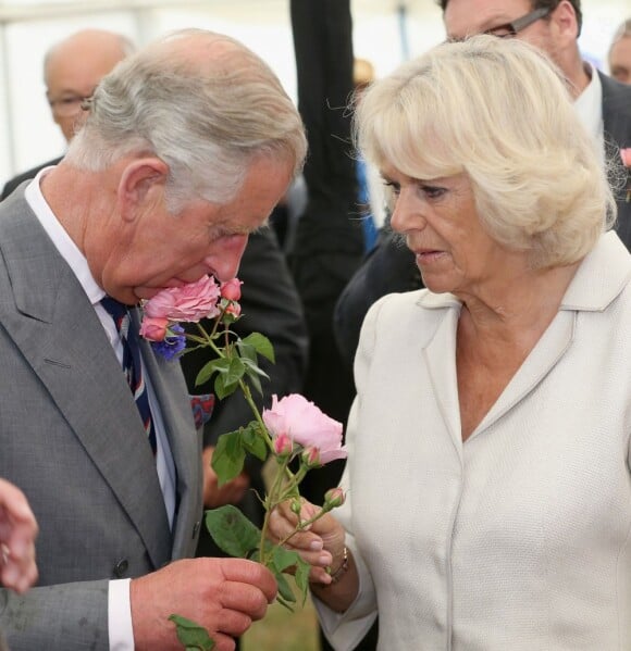 La vie en rose(s)... Le prince Charles et Camilla Parker Bowles étaient en visite au 132e Sandringham Flower Show, le 31 juillet 2013, sur le domaine royal dans le Norfolk.