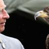 Le prince Charles en tête à tête avec l'aigle Zephyr lors du 132e Sandringham Flower Show, le 31 juillet 2013.