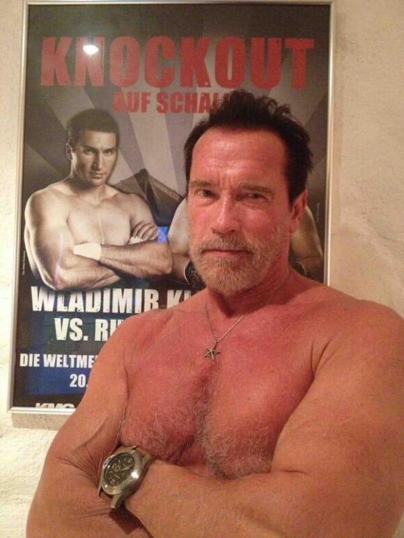Arnold Schwarzenegger prend la pose comme Wladimir Klitschko sur Twitter - septembre 2013.