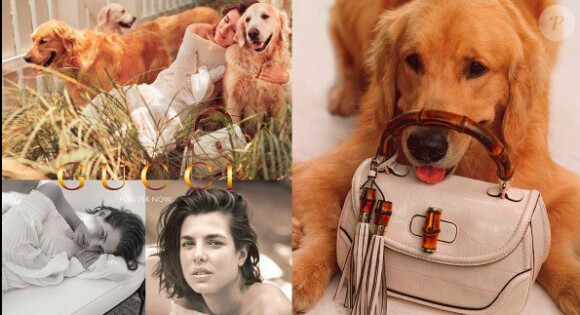Charlotte Casiraghi, entourée d'animaux pour la campagne Forever Now de Gucci