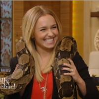 Hayden Panettiere : Elle confirme ses fiançailles, serpent autour du cou