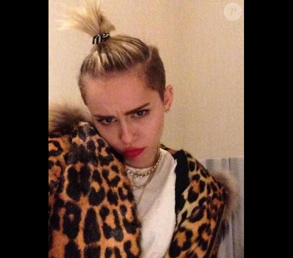 Miley Cyrus a posté une série de photos pour Halloween, le 28 octobre 2013.