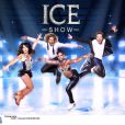 Les coachs de Ice Show (M6) : Sarah Abitbol, Gwendal Peizerat, Surya Bonaly et Philippe Candeloro