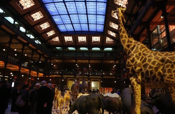 Exclusif - 40e anniversaire du WWF au Museum national d'Histoire Naturelle à Paris le 27 novembre 2013.