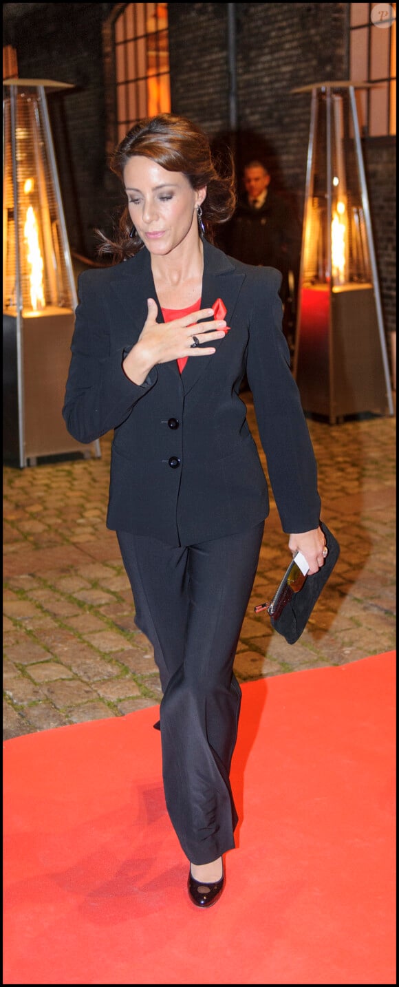La princesse Marie de Danemark, marraine de la division danoise de la AIDS Foundation depuis le 1er décembre 2012, lors de l'inauguration de l'expo photo Access to Life le 28 novembre 2013 à Copenhague.
