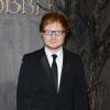 Ed Sheeran lors de l'avant-première du film Le Hobbit : La désolation de Smaug, à Los Angeles le 2 décembre 2013