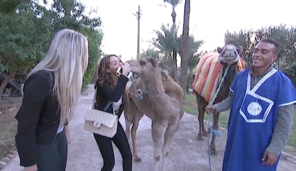 Nabilla fait la connaissance de dromadaires alors qu'elle est en tournage au Maroc pour sa télé-réalité Allô Nabilla. Elle se bouche le nez pour embrasser le dromadaire.