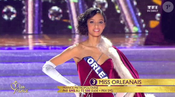Flora Coquerel, sublime Miss Orléanais 2013, est Miss France 2014.