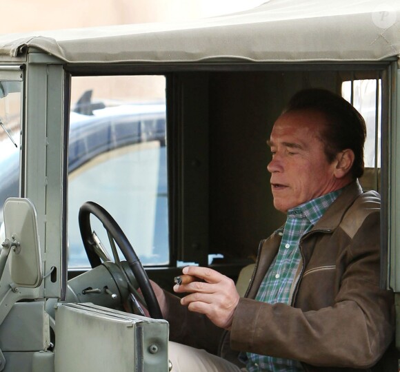 Arnold Schwarzenegger à Los Angeles, le 16 novembre 2013.
