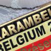 Exclusif - L'écharpe d'Adriana Karembeu, mal orthographiée - Finale de l'élection de Top Model Belgium à Mons en Belgique le 8 décembre 2013.