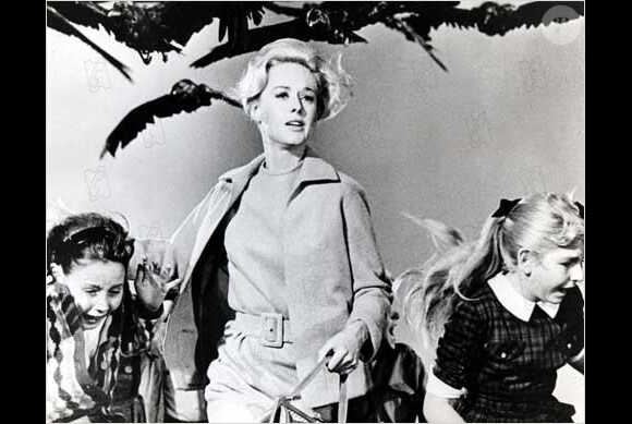 Tippi Hedren dans le film Les Oiseaux d'Alfred Hitchcock