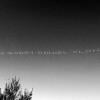Message dans le ciel de Los Angeles du 1er janvier 2014 : "Je suis désolé Daniel Clowes", attribué à Shia LaBeouf après avoir admis avoir plagié l'oeuvre de l'auteur-dessinateur pour faire son court métrage HowardCantour.com.