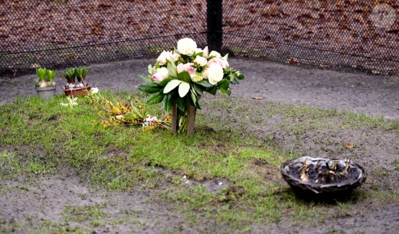 La sépulture du prince Friso des Pays-Bas, fils de la princesse Beatrix, au cimetière de Lage Vuursche, aux Pays-Bas. Photo prise le 1er fevrier 2014.