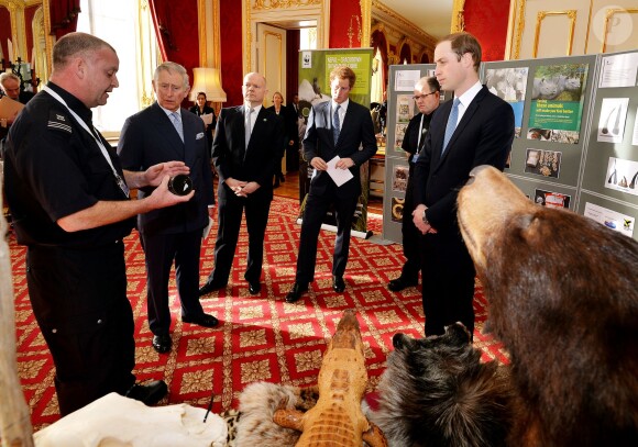 Le prince Charles et ses deux fils, le prince William et le prince Harry visitent une exposition sur le braconnage, avant d'assister à la conférence sur le commerce illicite de la faune à Lancaster House, à Londres, le 13 février 2014.