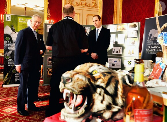 Le prince Charles et ses fils, le prince William et le prince Harry visitent une exposition sur le braconnage, avant d'assister à la conférence sur le commerce illicite de la faune à Lancaster House, à Londres, le 13 février 2014.
