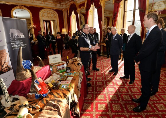 Le prince Charles et ses fils, le prince William et le prince Harry visitent une exposition sur le braconnage, avant d'assister à la conférence sur le commerce illicite de la faune à Lancaster House, à Londres, le 13 février 2014.