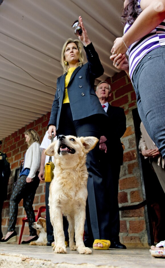 La reine Maxima des Pays-Bas visite la plantation d'agrumes de Maria Lucinda Sanabria Daza dans la ville Lebrija en Colombie le 3 mars 2014.