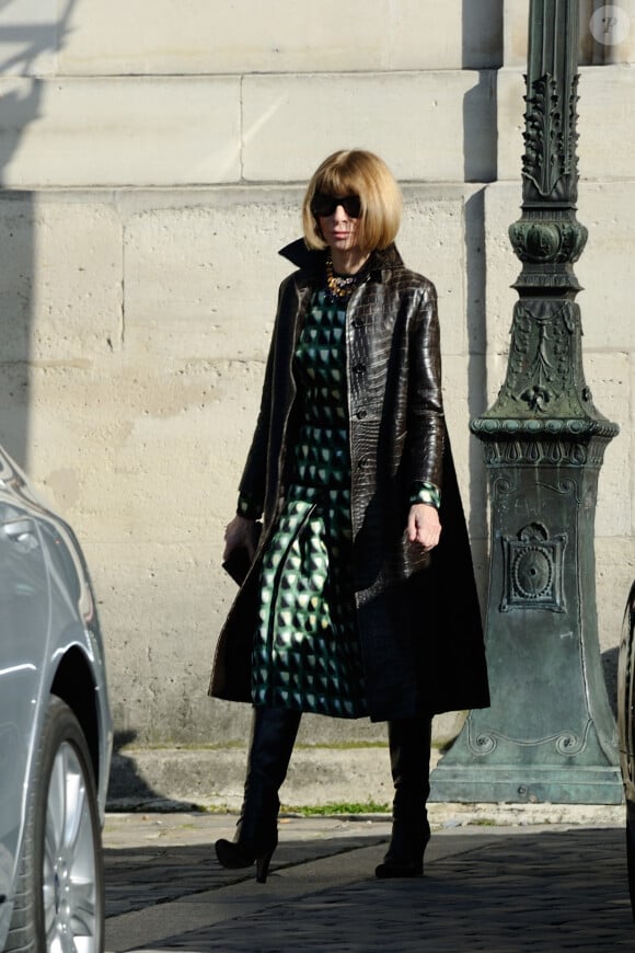 Anna Wintour au défilé Louis Vuitton à Paris, le 5 mars 2014.