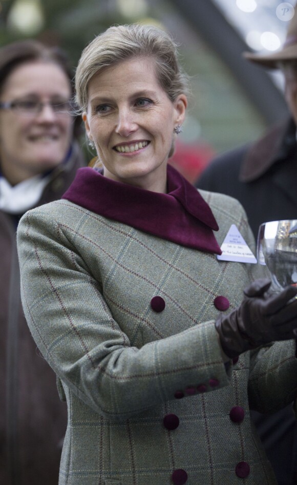 La comtesse Sophie de Wessex à Ascot, le 21 décembre 2013.