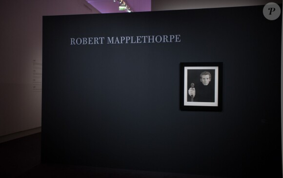 Vernissage de l'exposition Robert Mapplethorpe au Grand Palais, organisé par la société Aurel BGC, mécène exclusif de cette rétrospective. À Paris, le 24 mars 2014.