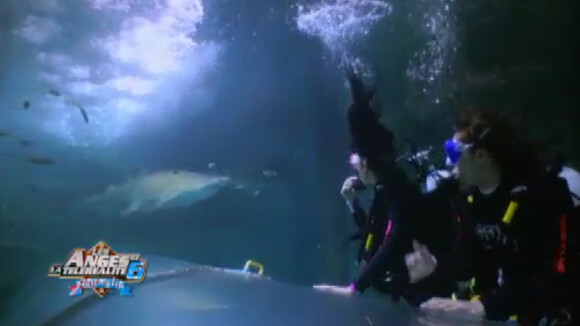 Les Anges de la télé-réalité 6 : Amélie panique face à un requin, Christie agace