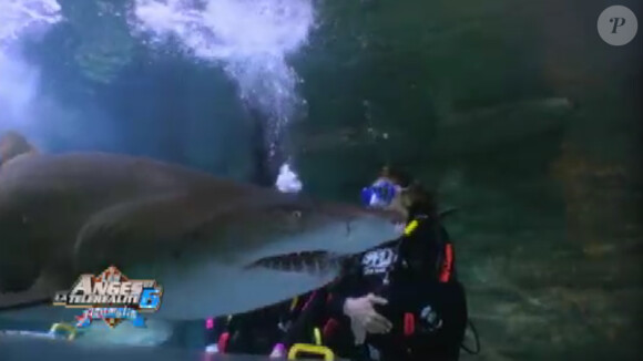 Shanna et Eddy devant un requin dans Les Anges de la télé-réalité 6 le mardi 25 mars 2014 sur NRJ 12