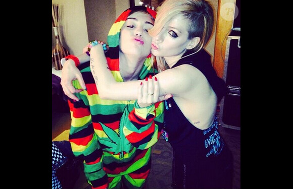 Miley Cyrus et Avril Lavigne ont fait semblant de se battre sur Twitter à l'occasion du 1er avril 2014.