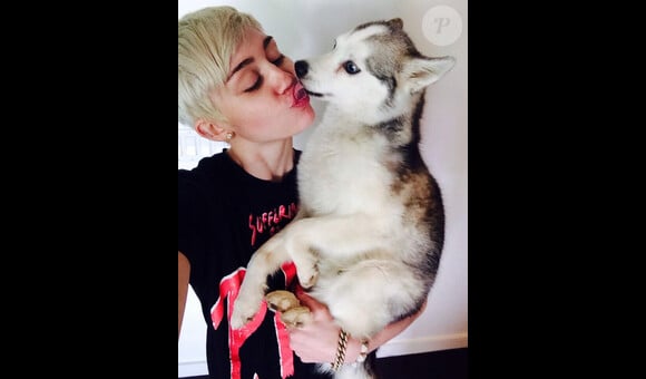 Miley Cyrus, dévastée par la mort de son chien Floyd, le 2 avril 2014.