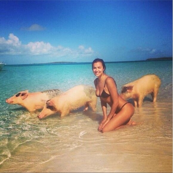 Irina Shayk, sexy en bikini, même au milieu de cochons.