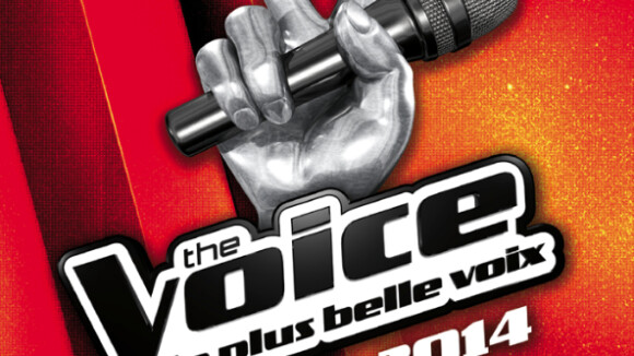The Voice Tour 2014 : Laura Chab et Amalya se joignent aux finalistes !